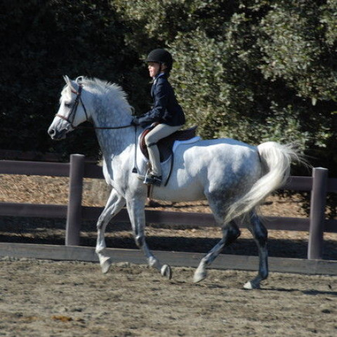 Visit California Riding Academy, LLC