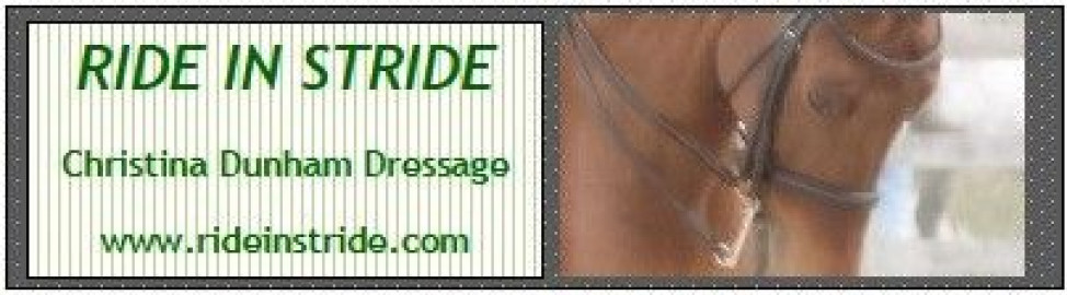 Visit Ride In Stride - Christina Dunham Dressage