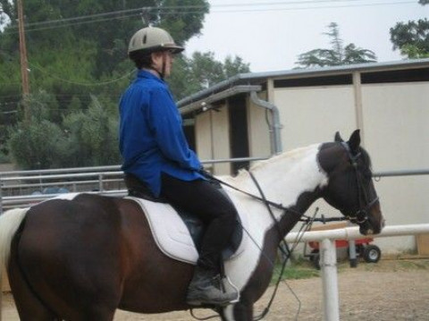 Visit Total Equestrian Experience