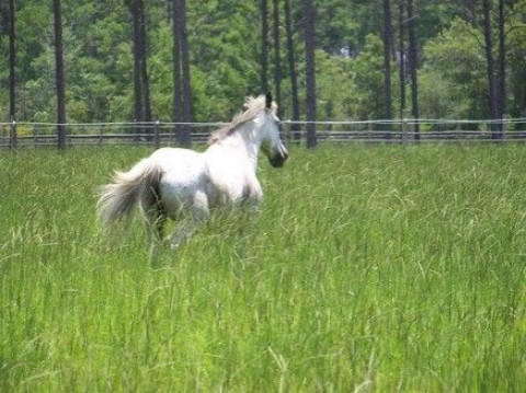 Visit Patriot's Meadow