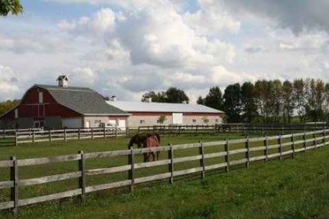 Visit My Fantasy Farm, LLC