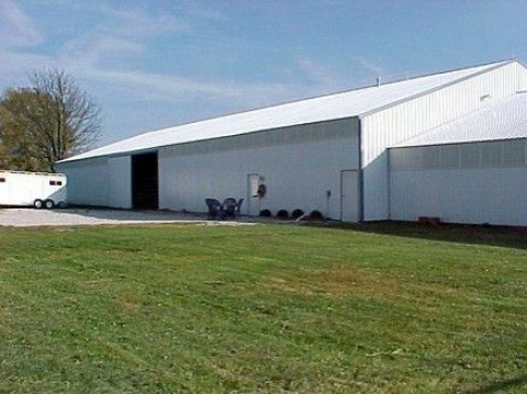 Visit Hinton Arabians