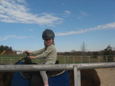 Visit Johnson Horse Riding School