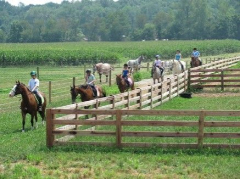 Visit KH Equestrian