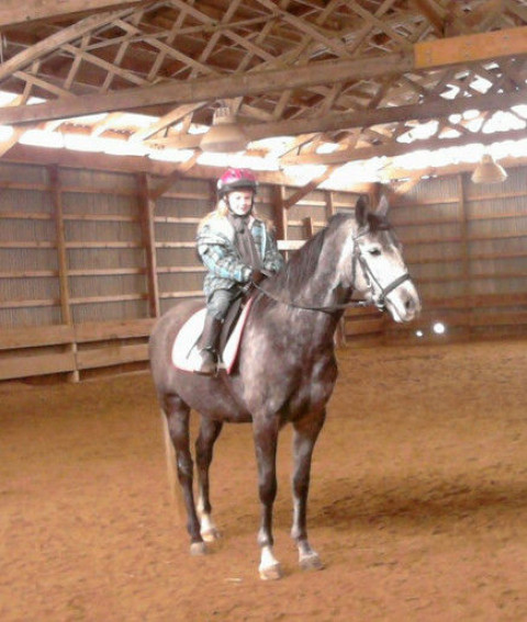 Visit Kat Klenk of Harmony Training Stables
