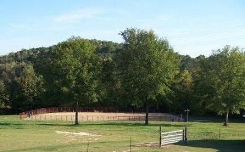 Visit Shiloh Quarter Horses