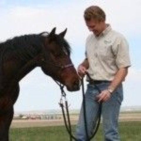 Visit Andersen Acres Natural Horse H.E.L.P. (Human & Equine Learning Principles)