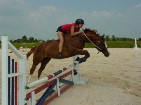 Visit Rainbow Ridge Farm Equestrian Center,