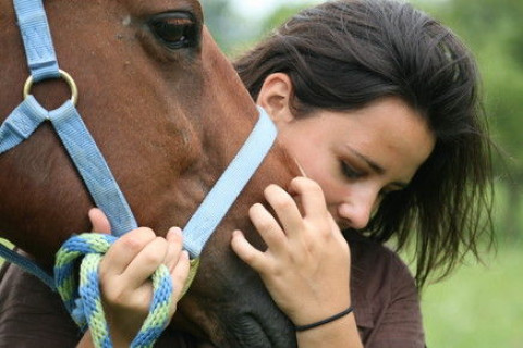 Visit Lone Ridge Farm