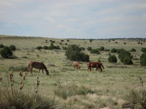 Visit Clay Creek Ranch