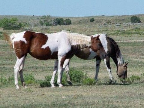 Visit Clay Creek Ranch