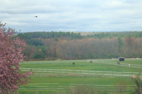 Visit Bradley Brooke Farm