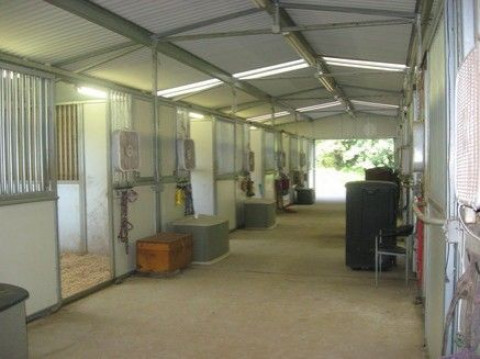 Visit Mountain Breeze Stables