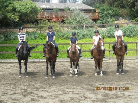 Visit Blue Fox Farms Riding School