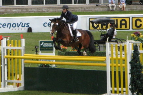 Visit Windy Hill Equestrian