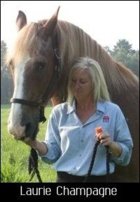 Visit Laurie Champagne - Specializing in Maine Equine Homes