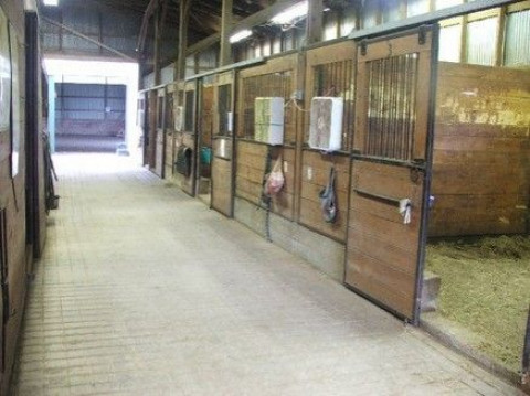 Visit DIXIELAND FARM