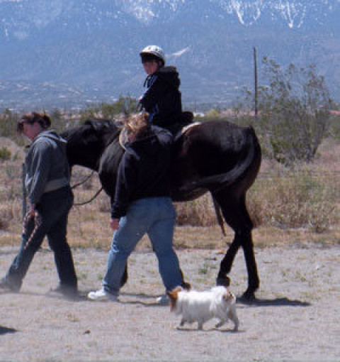 Visit Footprints Therapeutic Riding Center