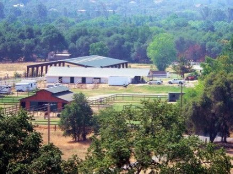 Visit THE HORSEY HILTON