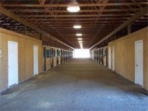 Visit Conner Training Enterprises at Sanchas Arabians