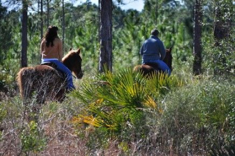 Visit Gulfside Trail Rides