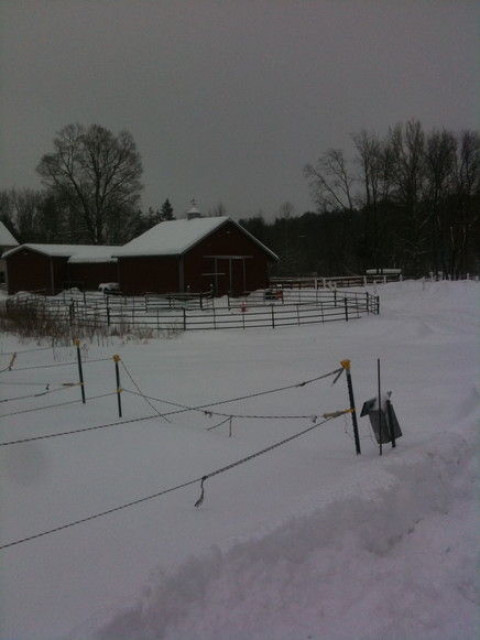 Visit Laural Hill Stables