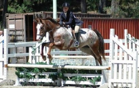 Visit Ashley Fowler & Melanie Niino - Hillside Farm