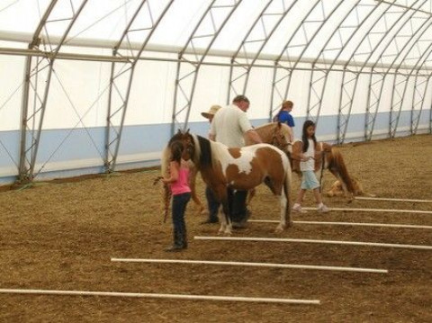 Visit Summer Glen Stables Horse Camp