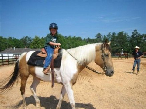 Visit Cross Creek Rodeo Ranch Youth Summer Horseback Riding Camp