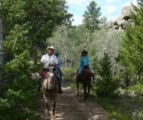 Visit Horseback Lessons Acworth, Youth & Adults Join Today!