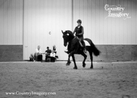 Visit Reanna Stables