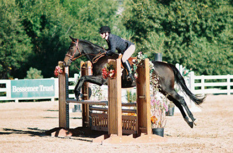 Visit Lynchland Stables - Jacqueline Lynch and Susan Herlihy