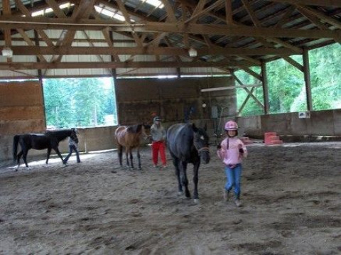 Visit Hollywood Hill Equestrian Center Inc.