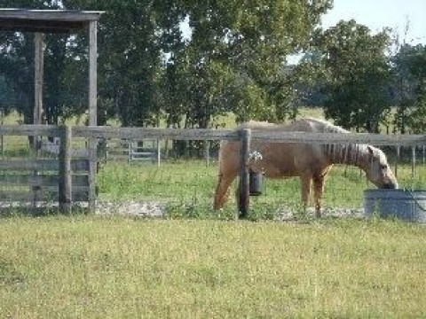 Visit Eleventh Hour Farms