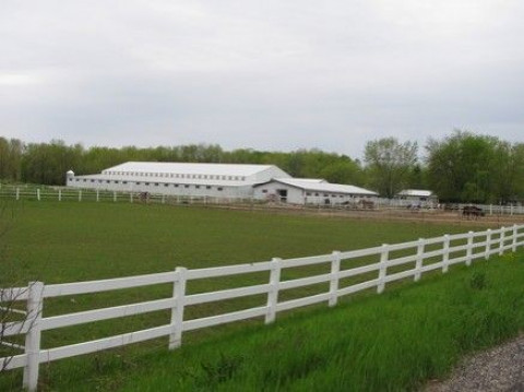 Visit Iron Horse Polo Stables