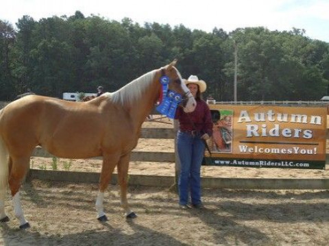 Visit Autumn Riders Horse Show Series