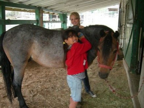 Visit Overlake Farm- Horse Camp and Horse Boarding in Bellevue, Wa.