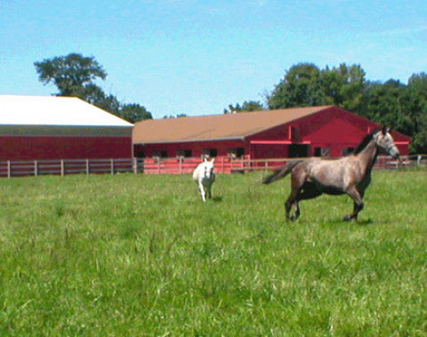 Visit Hunters Creek Equestrian Center
