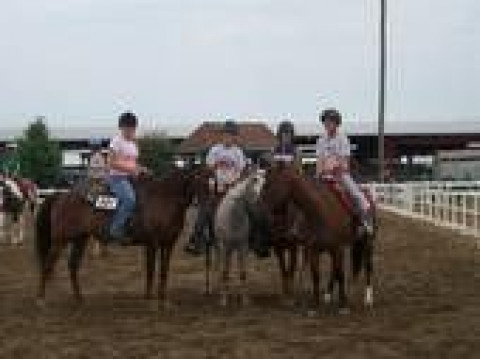 Visit Rein-Bruck Stable