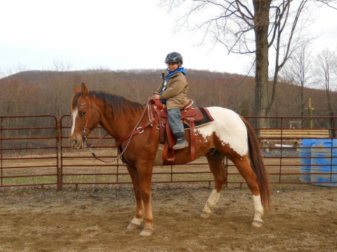 Visit High Rock Horse Farm