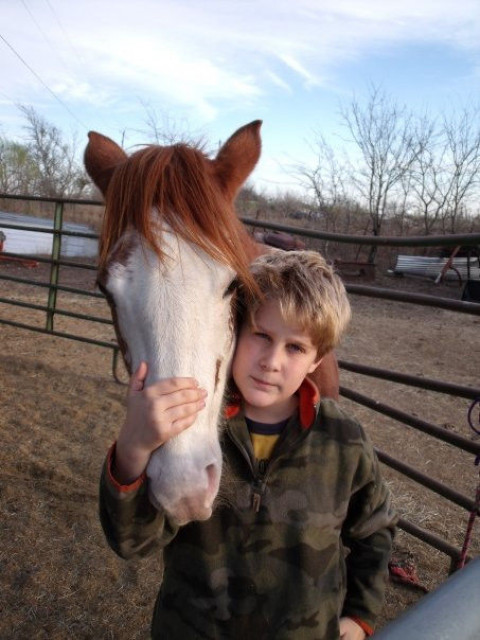 Visit Sterling Hunter/Jumpers Riding School