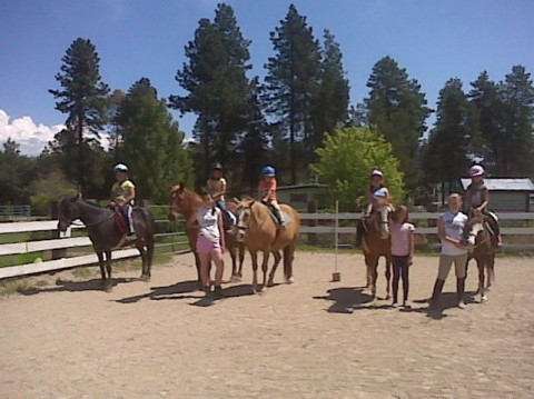 Visit Mini Acres Trot-About Riding School