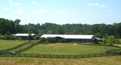 Visit Hillmar Farm