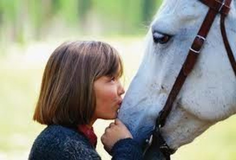 Visit Mariposa Riding Club and Summer Camp