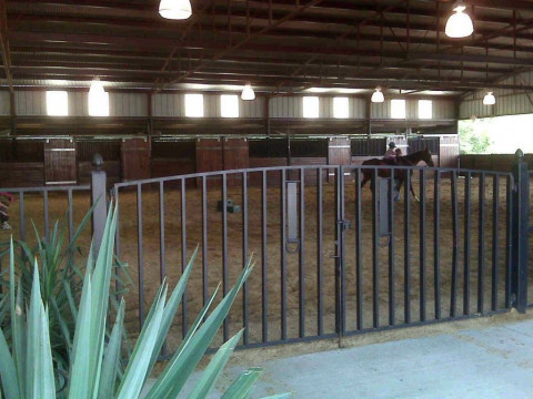 Visit Miracle Farm - Stables and Riding Lessons