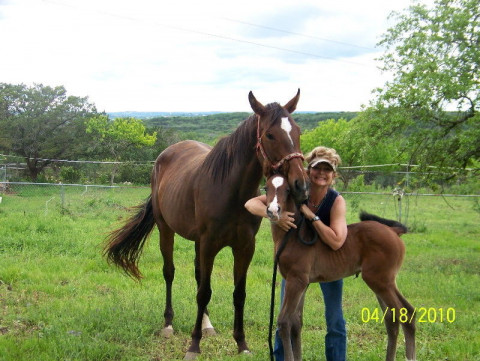 Visit Azteca Stables