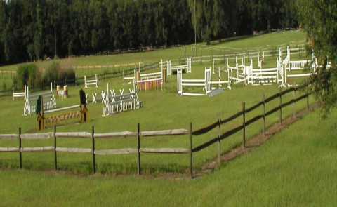 Visit The Perry Plantation / Misty Morning Hounds