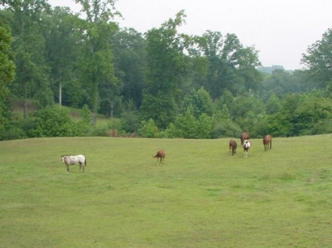 Visit Brookbend Farm