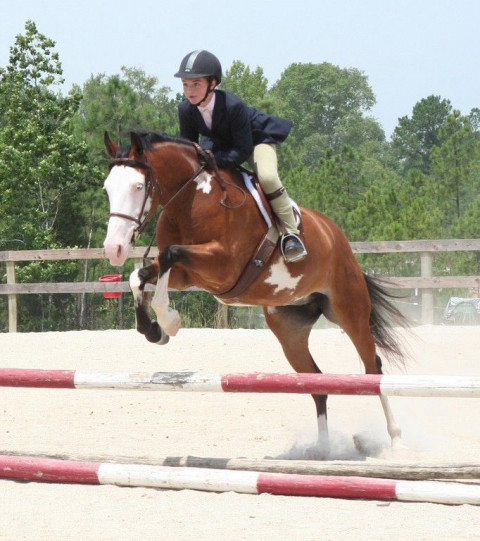 Visit Hawk's Nest Equestrian Center