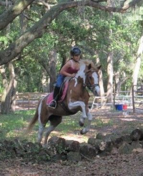 Visit Lofton Creek Riding Academy